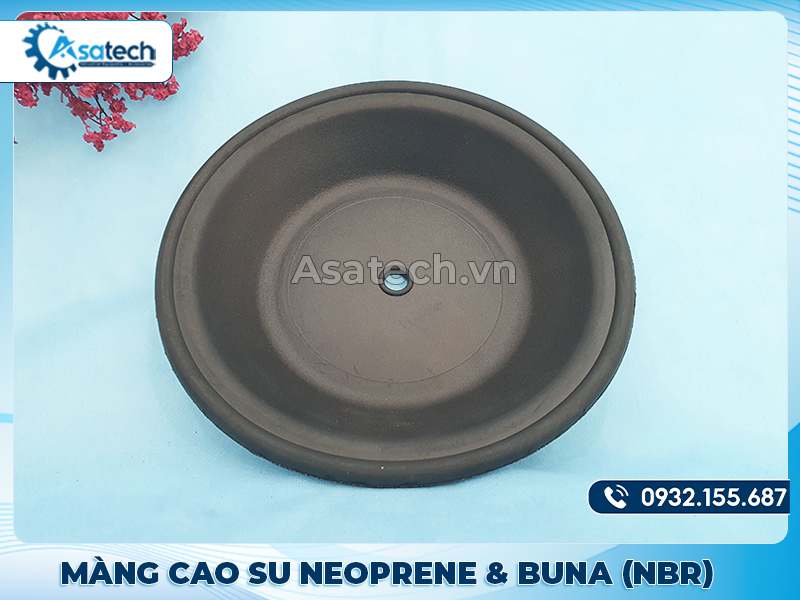 Một số màng bơm thông dụng dùng trong máy bơm màng