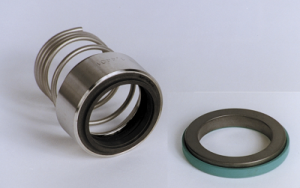 Phớt máy bơm dầu nóng