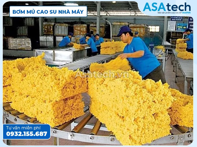 máy bơm mủ cao su - các loại máy bơm mủ cao su trong quy trình chế biến và sản xuất Các loại máy bơm mủ cao su trong quy trình chế biến và sản xuất