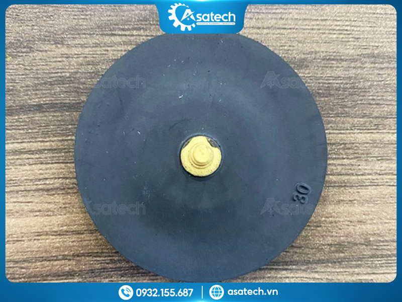 Màng bơm định lượng Iwaki 50mm Màng bơm định lượng Iwaki 50mm