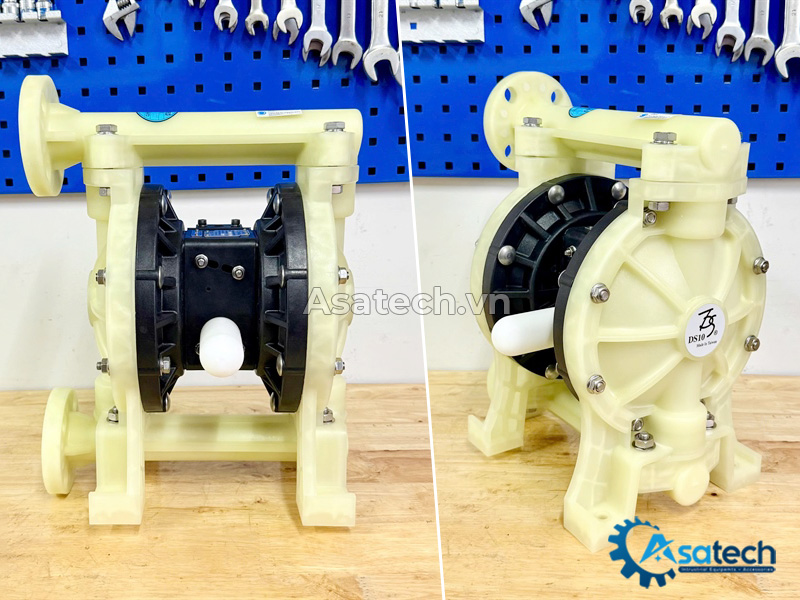 Bơm màng TDS DS10-PPL-TPTP-03
