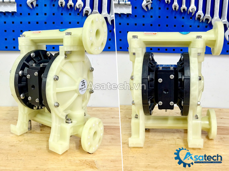 Bơm màng TDS DS10-PPL-TPTP-03