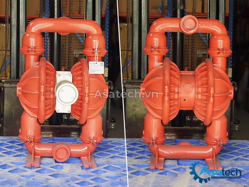 Bơm màng Wilden P8/AAAPP/BNS/BN/BN/0014