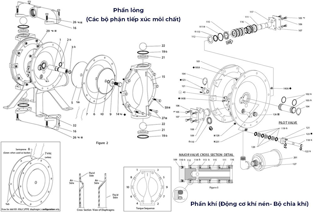 Sơ đồ cấu tạo bơm màng Aro 666172-3EB-C