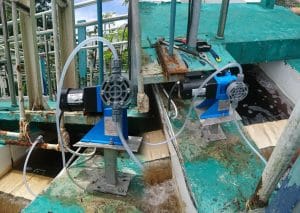 Bơm định lượng hóa chất Bx10 xử lý nước thải tại nhà máy