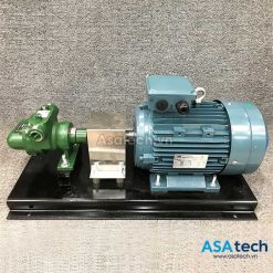 Bơm bánh răng ăn khớp trong KC GG95 - 3/4"