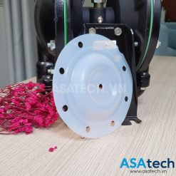 Màng bơm ARO 93111 (3/4" Teflon) 8 mang bom aro 93111 teflon asatech 10