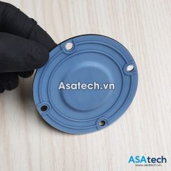 Màng bơm định lượng Prominent CNPB0223 - Pump Diaphragm