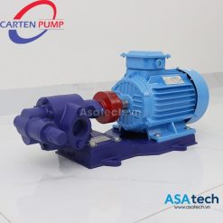 Bơm bánh răng khớp ngoài Carten Pump HLG32-FC-MC