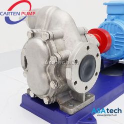 Bơm bánh răng khớp ngoài Carten Pump HLG60-SUS-MC | Inox 3″ – Mechanical Seal