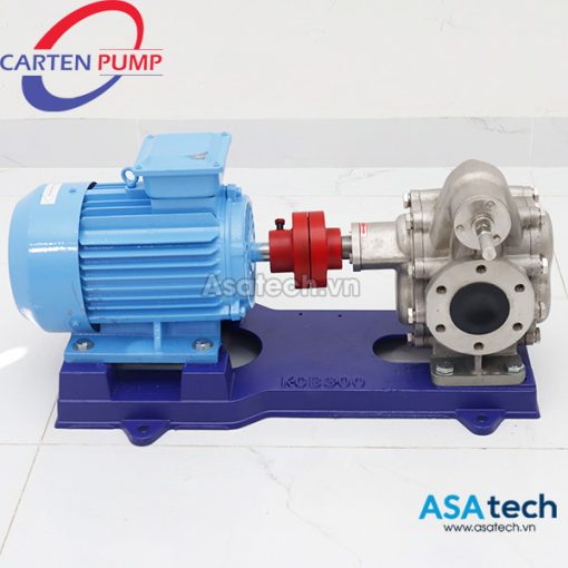 Bơm bánh răng ăn khớp ngoài Carten Pump HLG60-SUS-MC | Inox 3″
