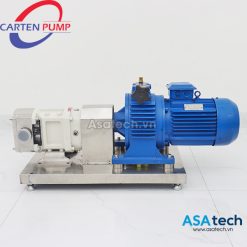 Bơm cánh khế Carten Pump HLP3A-125 | Lobe Pump (3″)