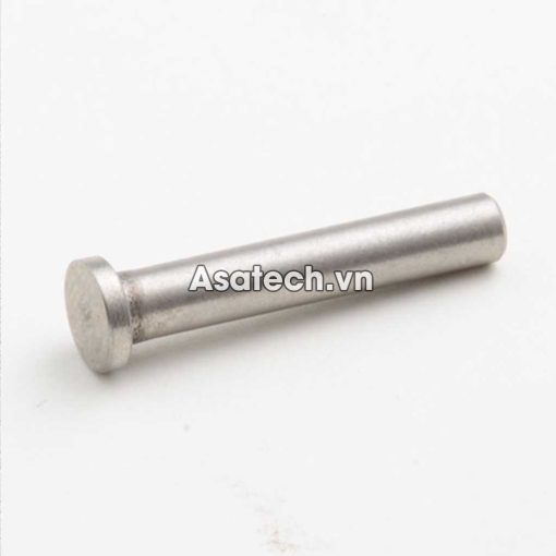 Piston truyền động Sandpiper S05 P/N 620-019-115
