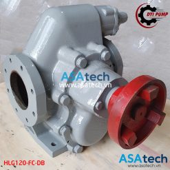 Đầu bơm bánh răng khớp ngoài DYI HLG120-FC-DB
