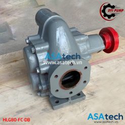 Đầu bơm bánh răng DYI HLG80-MC-DB