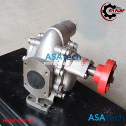 Đầu bơm bánh răng thực phẩm DYI HLG60-SUS