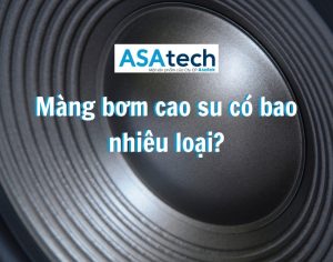 Màng bơm cao su có bao nhiêu loại