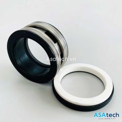 Phớt Máy Bơm CS-S10-55-CE-C-BN