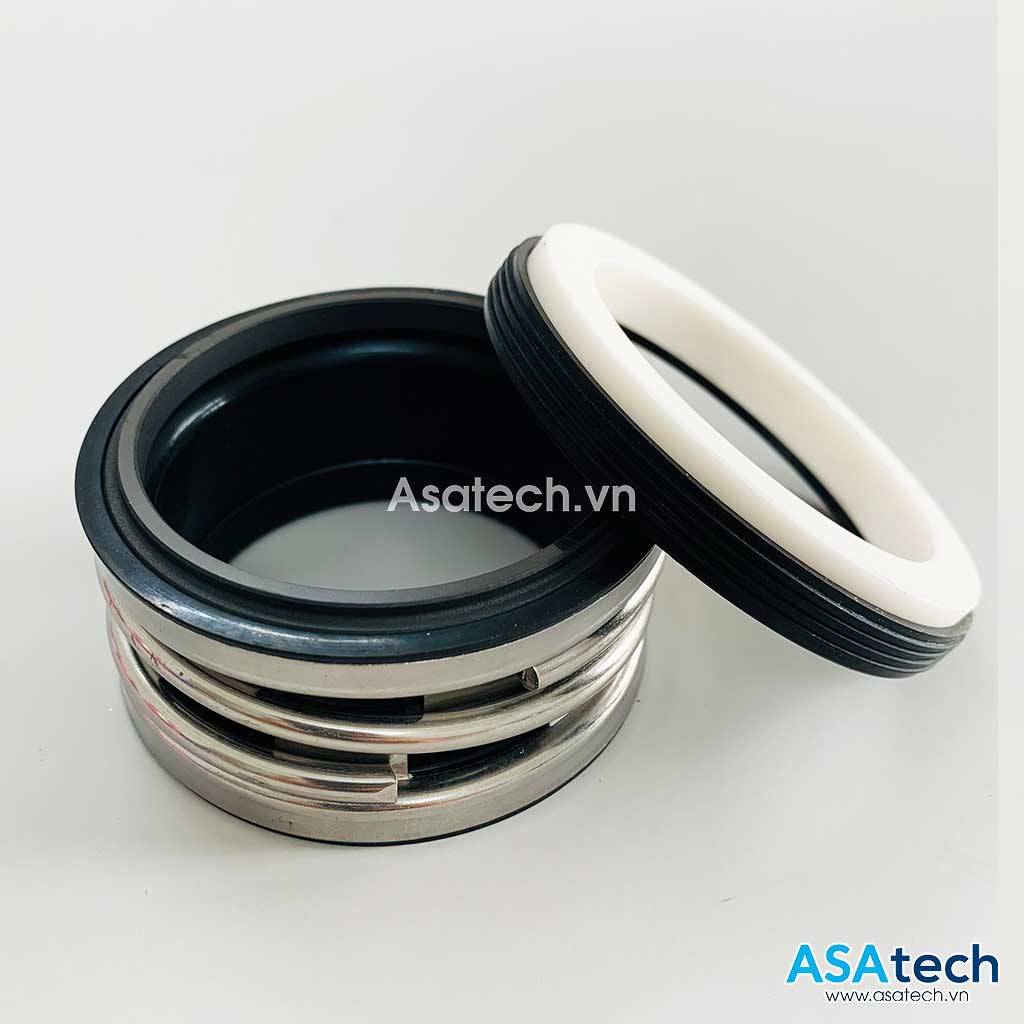 Phớt Máy Bơm CS-S10-65-CE/C/BN 1 Phớt Máy Bơm CS-S10-65-CE-C-BN