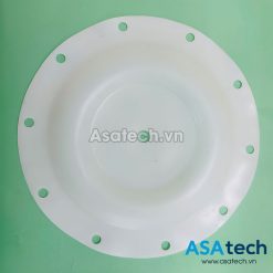 Màng bơm 1,5 inch Teflon TDS PB000023