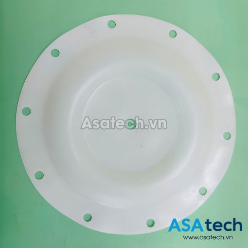 Màng bơm 1,5 inch Teflon TDS PB000023
