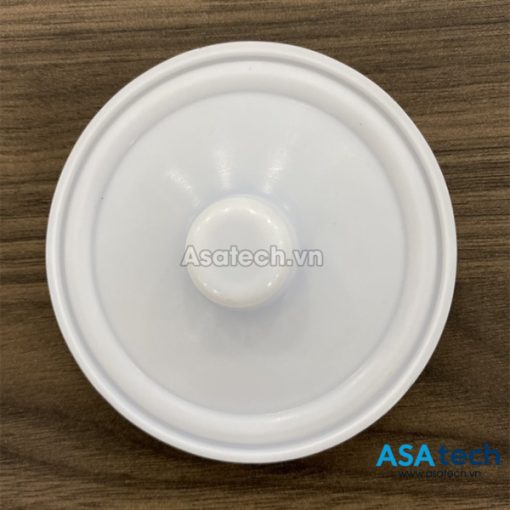 Màng bơm Wilden 00-1030-55(PTFE)