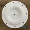 Màng bơm Blagdon 1A071 (PTFE)