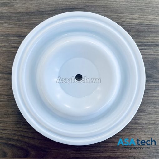 Màng bơm Wilden 08-1040-55 (2'', Teflon)