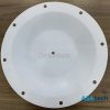 Màng bơm 450mm PTFE
