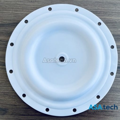 Màng bơm Blagdon 1B039 (PTFE)
