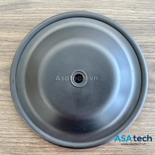 Màng bơm Blagdon 25-012 (EPDM)