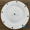 Màng bơm Blagdon 40-020 (PTFE)