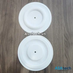 Màng bơm All-Flo 11406-59 Teflon 5 mang bom All flo Teflon 11406 59 1 inch jpg