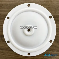 Màng bơm Blagdon 1/2 inch 15-033 Teflon