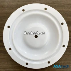 Màng bơm Blagdon 1 inch 25-016 Teflon