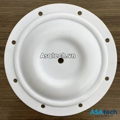 Màng bơm Blagdon 1 inch 25-016 Teflon