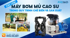 Các loại máy bơm mủ cao su trong quy trình chế biến và sản xuất
