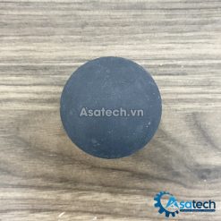 Bi Bơm Màng Wilden cao su Neoprene