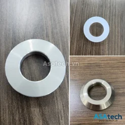 Đế bi bơm màng TDS DS10