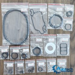 Bộ Seal Kit Bơm Màng TDS DS10 Nhựa