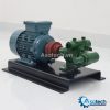 Bơm Bánh Răng Khớp Trong LS4124/LS124
